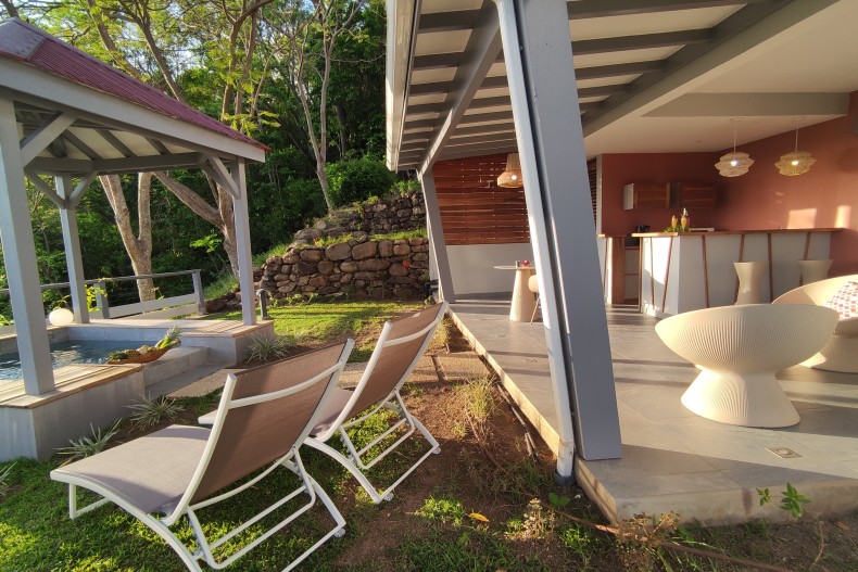 Le jardin avec la terrasse et la piscine privée